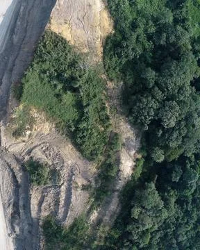 Direct top-down vertical aerial view of a land clearing border showing the .. Stock Photos