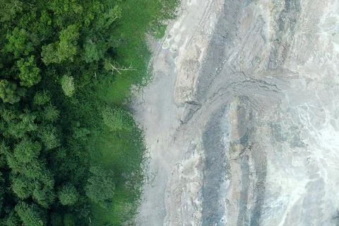 Direct top-down vertical aerial view of a dense woodland tree canopy border.. Stock Photos