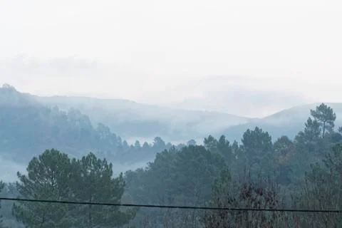 Direct view of trees under haze in the Cévennes mountains France during autumn Stock Photos