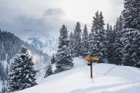 A direction indicator in a snowy mountain forest in winter. The picturesque l Stock Photos