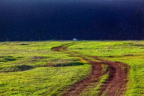 Direction to perfect nature Stock Photos
