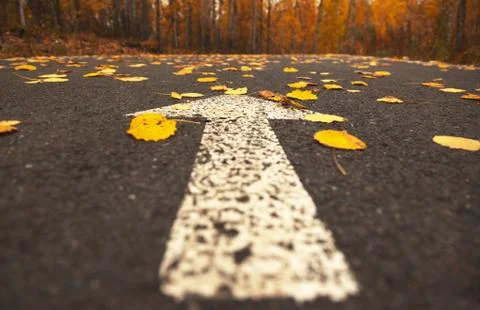 Direction Stock Photos