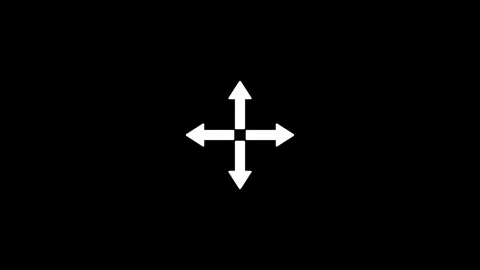 Directional Cross Arrow Navigation Icon Vidéo 333154027