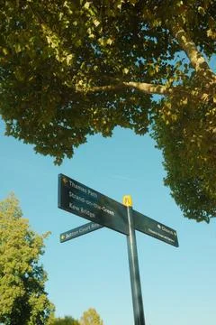 Directional Signpost on Thames Path Under Autumn Foliage Foto stock