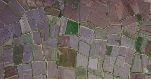 Directly above footage of patchwork landscape, High Atlas, Morocco Stock Footage 65460479