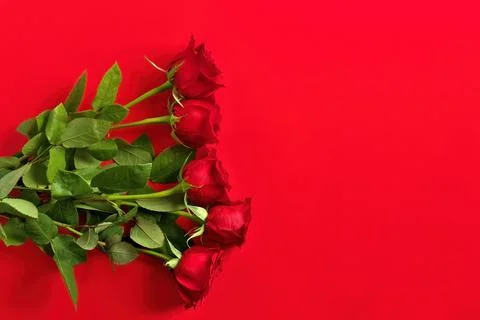 Directly Above Overhead View of Red Roses Bouquet on a Red Studio Background Stock Photos