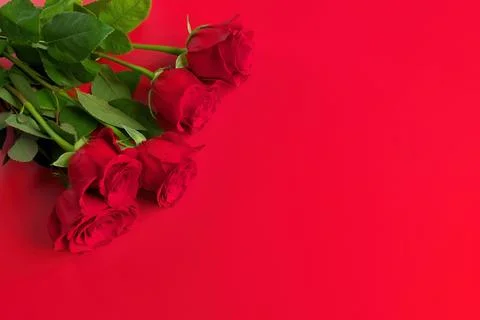 Directly Above Overhead View of Red Rose Bouquet on a Red Background. Copy space Stock Photos