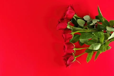 Directly Above Overhead View of Red Roses Bouqet on a Red Studio Background Stock Photos