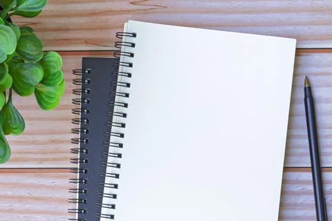 Directly above view of notepad with pen and potted plant on wooden desk. Foto stock