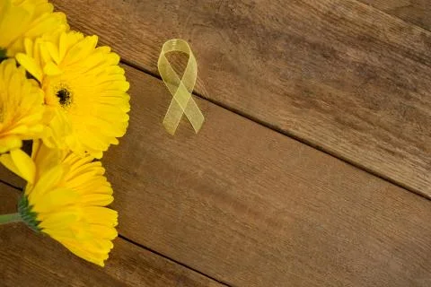 Directly above view of yellow Sarcoma Awareness ribbon by gerbera flowers Stock Photos