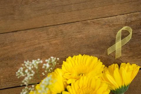 Directly above view of yellow Sarcoma Awareness ribbon by flowers Stock Photos