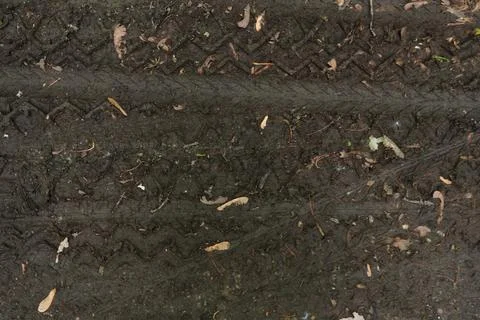 Directly overhead view of dark damp mud Photos