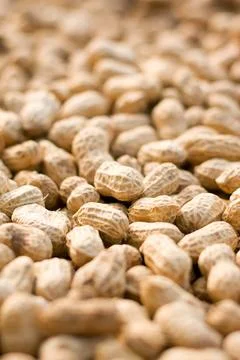 Dired peanut background Stock Photos