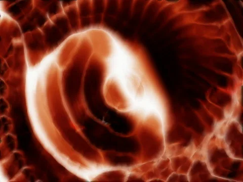 Direfire vector 640 Stock Footage 446141