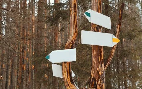 Dirrection signs in the mountain forest Stock Photos