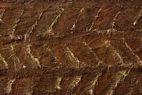 Dirt background Stock Photos