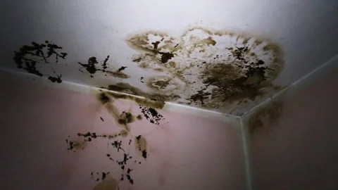 Dirt on the ceiling of an old house Vídeo Stock 138086087