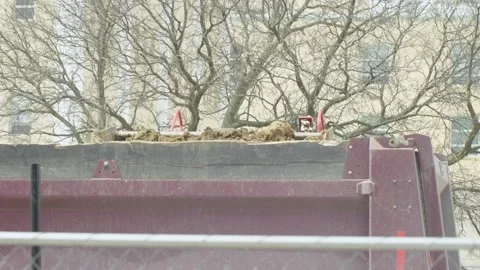 Dirt Disposal Stock Footage 238860952