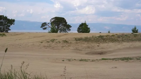 A dirt empty road back view. Off road trip along dirt road Stock Footage 134920710
