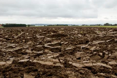 Dirt Field Stock Photos