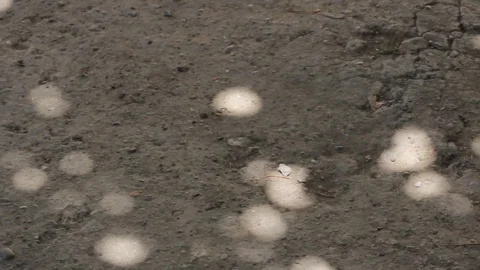 Dirt floor Stock Footage 77047297