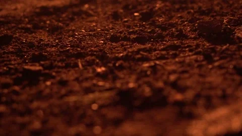 Dirt Floor Lit my Campfire Stock Footage 170804743
