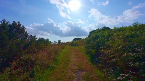 Dirt hiking path on hill surrounded by green vegetation in Ireland Stock Footage 340435536