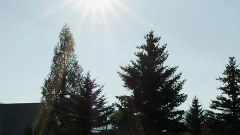 Dirt jump cyclist does one foot can stunt off steep ramp in sunshine Vídeos de archivo 249723464