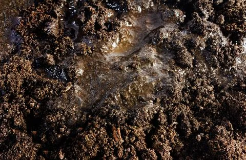Dirt or mud closeup texture backdrop. Stock Photos