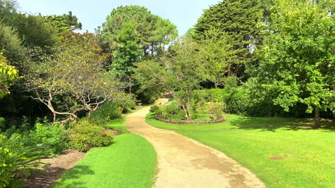 Dirt path and green trees in the botanical garden in Saint-Jean-de-Luz, France Stock Footage 252917104