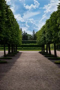 A dirt path, beautifully lined with trees, in a peaceful park on a sunny day Stock Photos