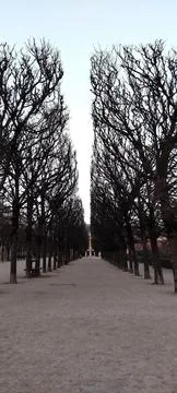 Dirt path between the trees at the palais roy Foto stock