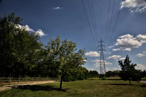 Dirt path with an electricity pylon bordered by trees on a clear day Stock Photos