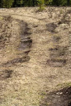A Dirt Path In A Field With Trees In The Background. Foto stock