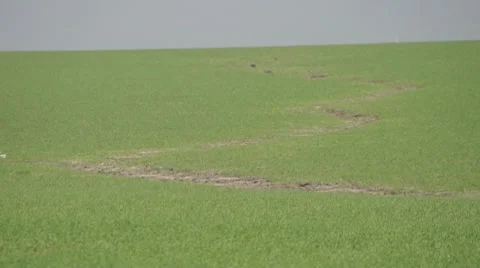 Dirt path in fields 스톡 동영상 10724149