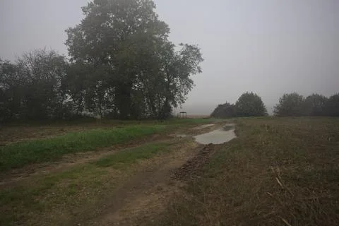 Dirt path in the fields Stock Photos