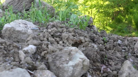 DIRT PATH Stock Footage 186575449