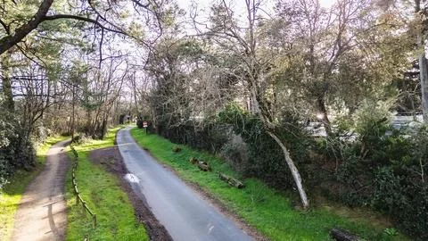 A dirt path in the forest next to a small country road in Vende on a beauti.. Stock Photos