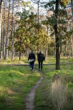 A dirt path in a forest Foto stock