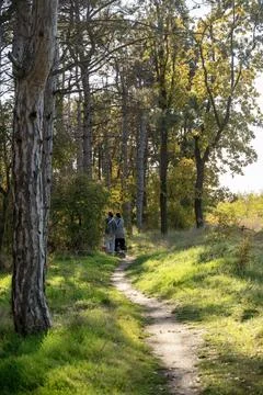 A dirt path in a forest Stock Photos