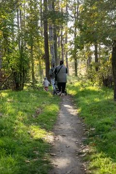 A dirt path in a forest Stock Photos