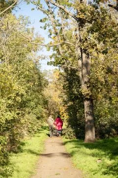 A dirt path in a forest Stock Photos