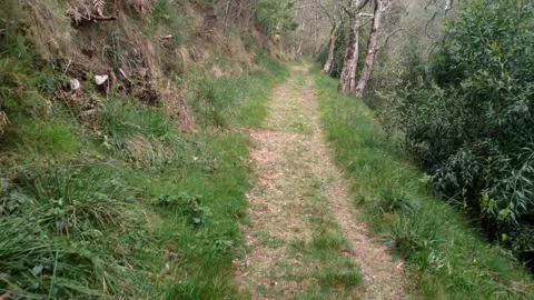 Dirt path with grass on the hiking trail along the mighty Sor River at the Vídeos de archivo 197953140