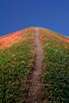 Dirt path up a hill Stock Photos
