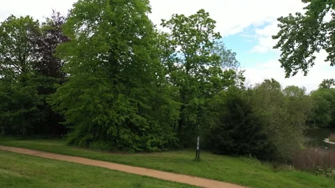 Dirt path leading between various deciduous trees in park Video stock 155819722