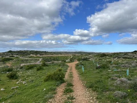 Dirt path leading through green countryside under blue cloudy sky Stock Photos