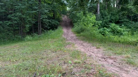 Dirt path leading uphill through green forest with dense trees and grass  Vídeo Stock 338201274