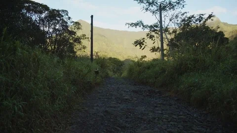 Dirt Path Mountain View Stock Footage 75251309