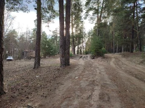 A dirt path next to a forest Stock Photos