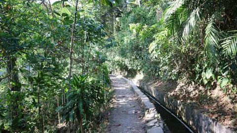 Dirt path next to water irrigation canal in lush green forest Stock-Fotos